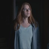 Nightbitch: Amy Adams se v černé komedii strachuje, že se promění v psa | Fandíme filmu