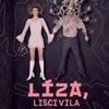 Líza, liščí víla | Fandíme filmu