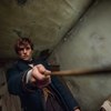 Eddie Redmayne málem hrál záporáka v Harrym Potterovi | Fandíme filmu
