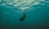 Evolution | Fandíme filmu