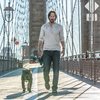 John Wick 3: Baba Jaga na pohyblivém plakátu | Fandíme filmu