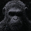 Válka o Planetu opic: První teaser | Fandíme filmu