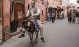 Army of One | Fandíme filmu