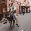 Army of One | Fandíme filmu