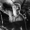 The Wolf Man: Vlkodlak z propojeného světa monster našel scenáristu | Fandíme filmu