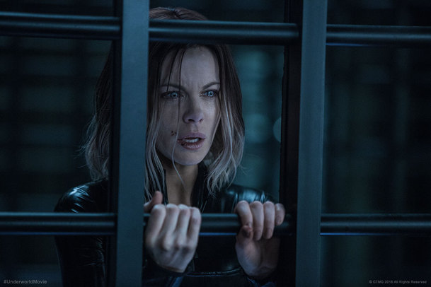 Underworld 6: Vše záleží na diváckém přijetí pětky | Fandíme filmu