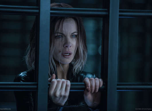 Twilight Of The Dead: Kate Beckinsale čeká boj proti zombíkům | Fandíme filmu