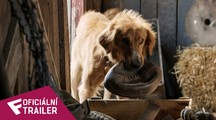 Psí poslání - Oficiální Trailer | Fandíme filmu