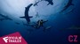 Jacques-Yves Cousteau: Odysea - Oficiální Teaser Trailer (CZ) | Fandíme filmu