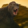 Kong: Ostrov lebek | Fandíme filmu