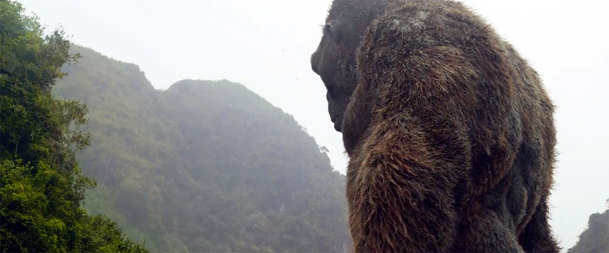 Godzilla vs. King Kong potřebuje hned celý tým scenáristů | Fandíme filmu