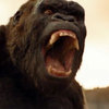 Kong: Ostrov lebek: Finální trailer je totálně kulervoucí | Fandíme filmu