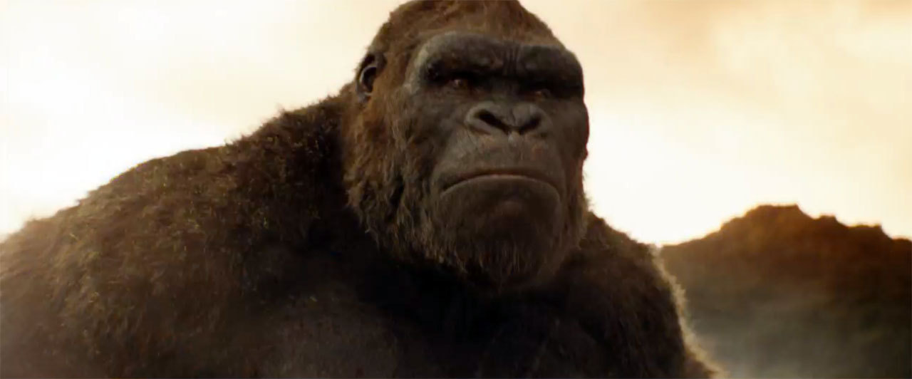 Box Office: Kong je král...i když možná spíš králíček