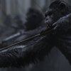 Válka o Planetu opic: Konečně teaser na trailer, co stojí za to | Fandíme filmu