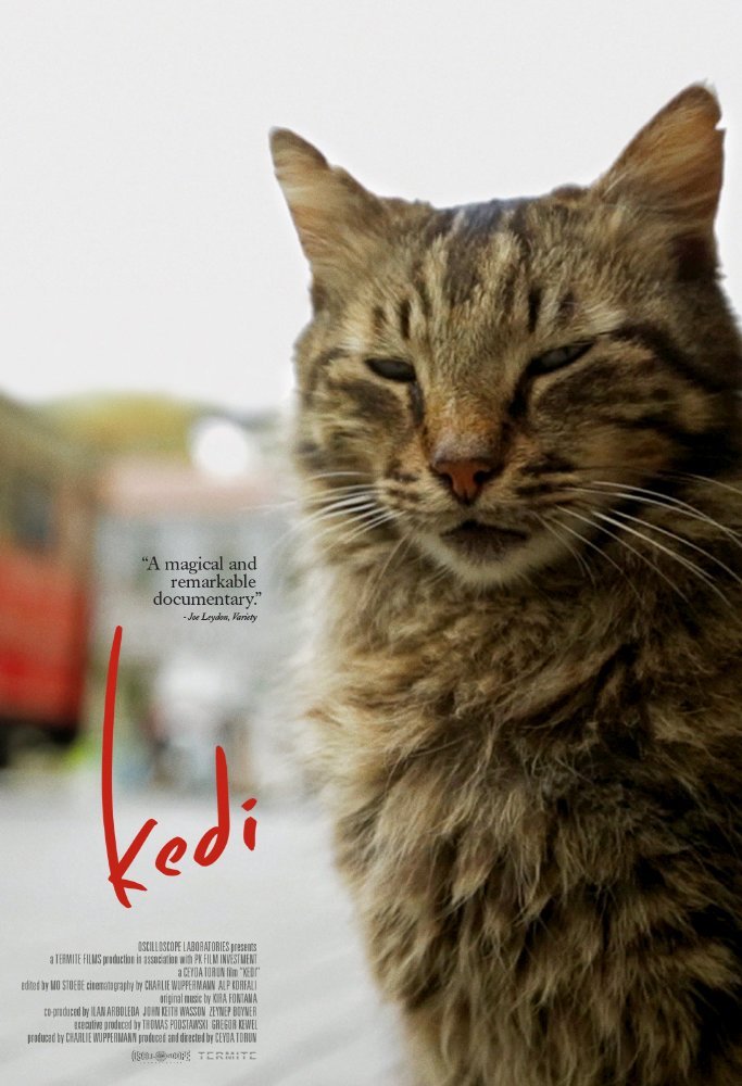 Kedi | Fandíme filmu