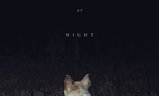 It Comes at Night | Fandíme filmu