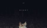 It Comes at Night | Fandíme filmu