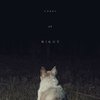 It Comes at Night | Fandíme filmu