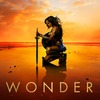 Wonder Woman 2: Kdy se nakonec bude pokračování odehrávat? | Fandíme filmu