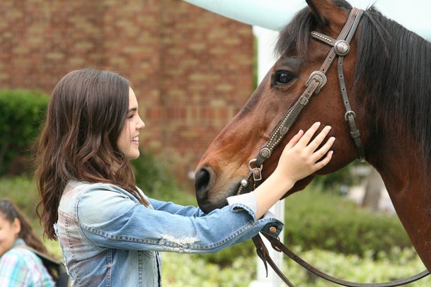 A Cowgirl's Story | Fandíme filmu