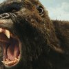 Godzilla vs. Kong: Film bude plný různých monster, která se porvou | Fandíme filmu