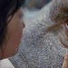 OKJA: Nová sci-fi od autora Snowpiercera stvoří nového živočicha | Fandíme filmu