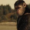 Planeta opic: Proslulá sci-fi série se dočká dalšího filmu | Fandíme filmu