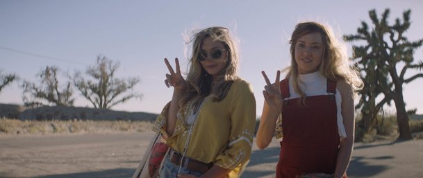 Ingrid Goes West: Aubrey Plaza se znovu trhá ze řetězu | Fandíme filmu