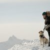 The Mountain Between Us: Drsný survival thriller v traileru | Fandíme filmu