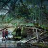 To: Nejnovější trailer láká na ryzí přátelství i čirou hrůzu | Fandíme filmu
