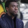 Black Panther nakonec utržil ještě víc než se myslelo | Fandíme filmu