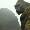 Godzilla vs. Kong: Film bude plný různých monster, která se porvou | Fandíme filmu