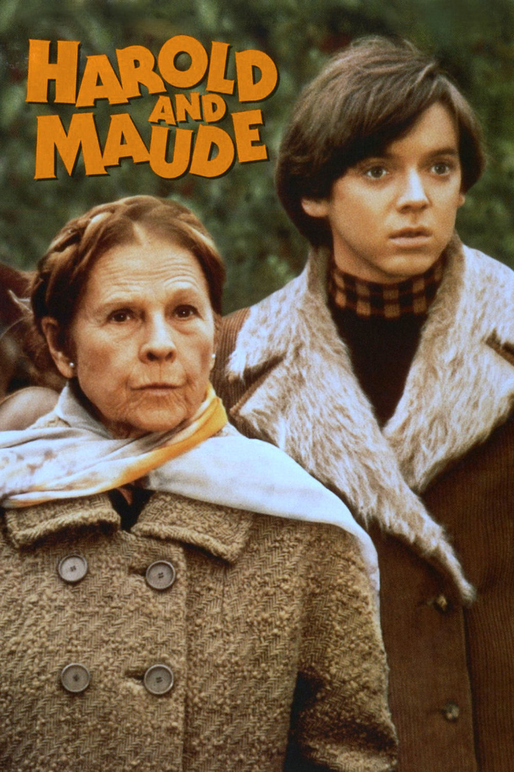 Harold and Maude | Fandíme filmu