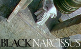 Černý narcis | Fandíme filmu