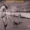 The Death and Life of Marsha P. Johnson | Fandíme filmu