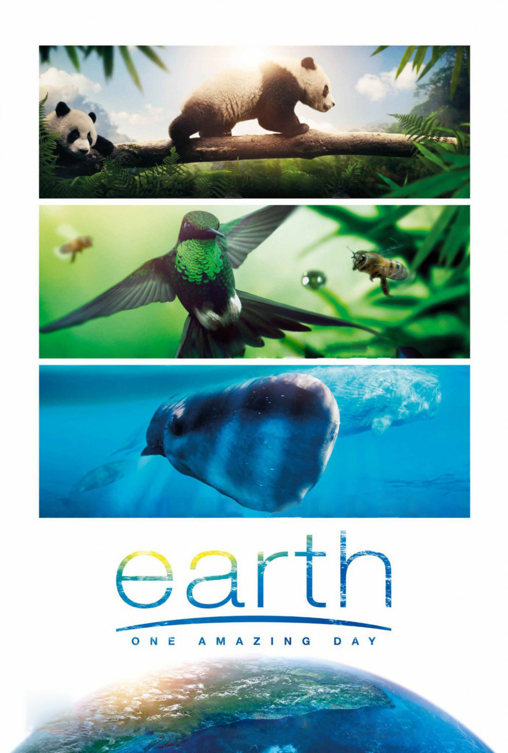 Earth: Den na zázračné planetě | Fandíme filmu