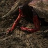 Leatherface: Druhý trailer se zaměřil na děj | Fandíme filmu