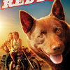 Red Dog | Fandíme filmu
