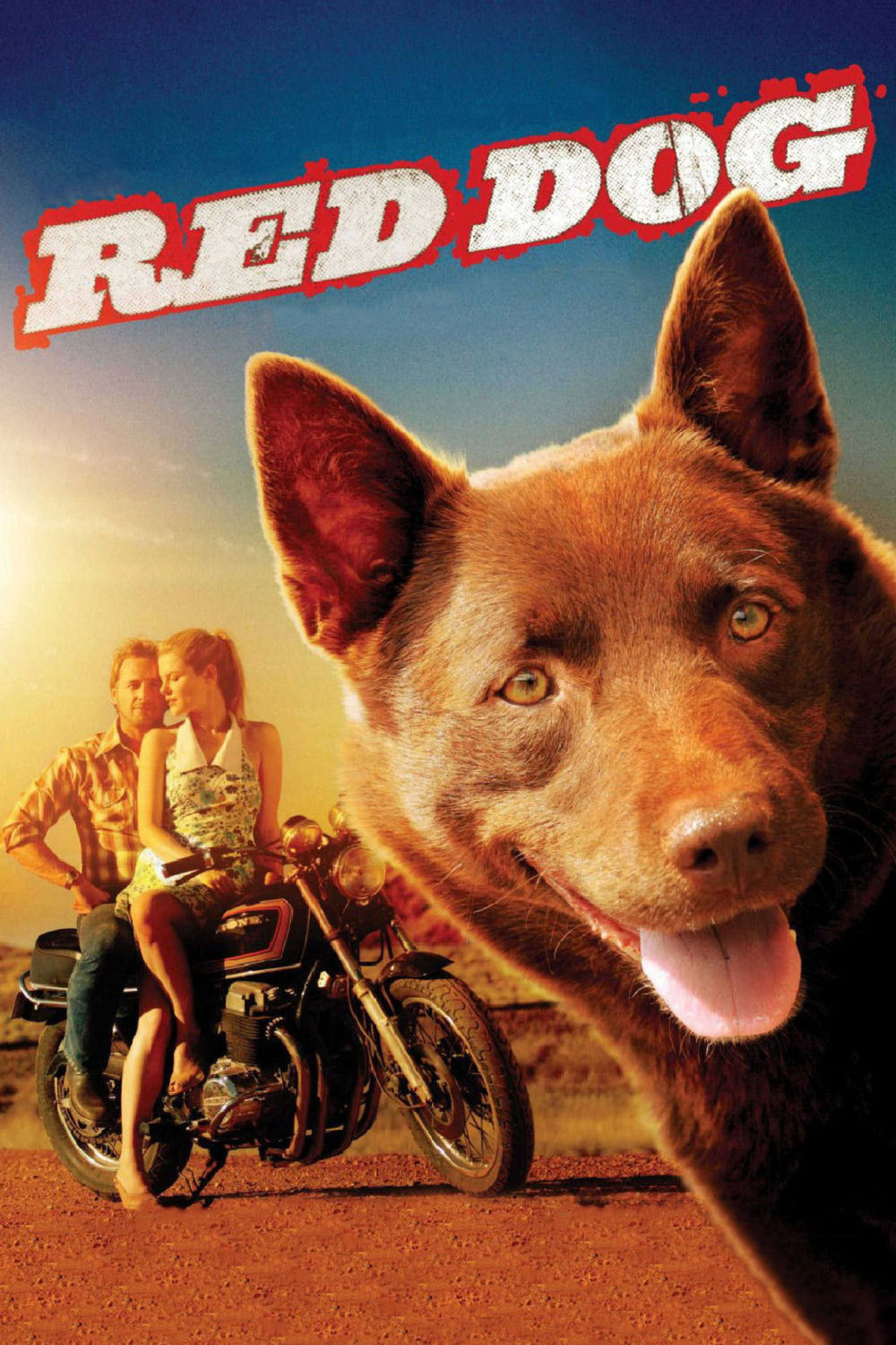Red Dog | Fandíme filmu
