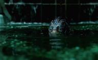 The Shape of Water: První trailer na novou fantasy od del Tora | Fandíme filmu