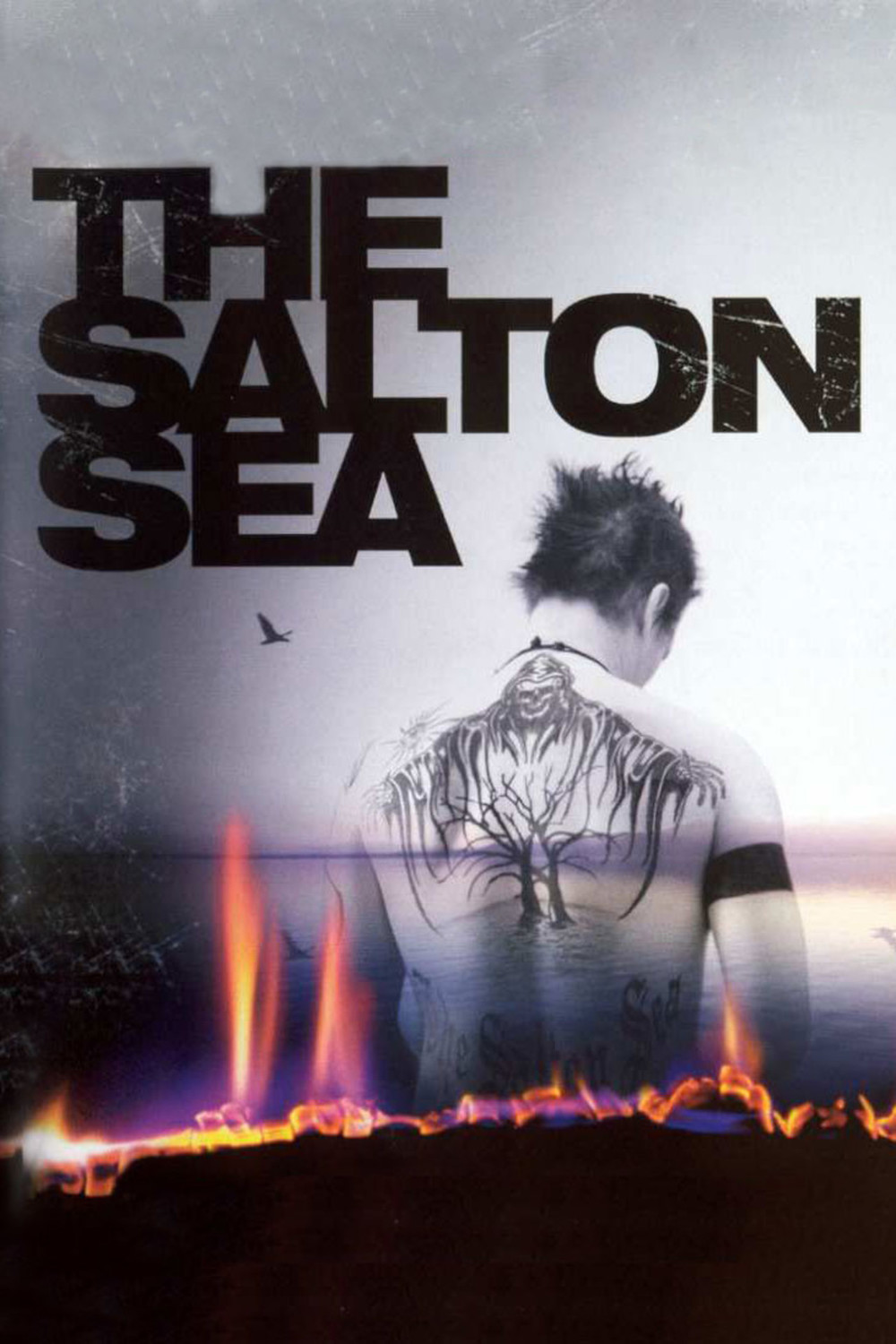 Salton Sea | Fandíme filmu