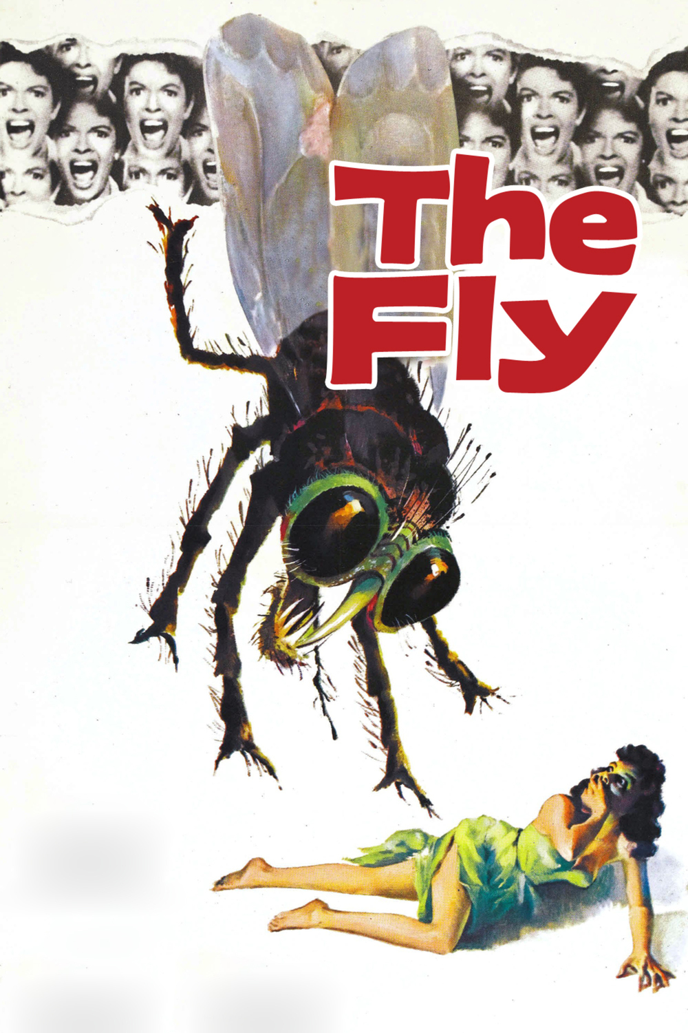 The Fly | Fandíme filmu