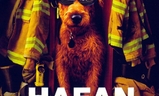 Hafan hasičem | Fandíme filmu