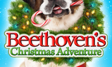 Beethoven's Christmas Adventure | Fandíme filmu