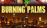 Burning Palms | Fandíme filmu