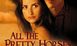 All the Pretty Horses | Fandíme filmu
