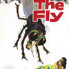 The Fly | Fandíme filmu