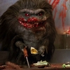 Critters: Chlupaté příšerky se přikutálí v restartu | Fandíme filmu