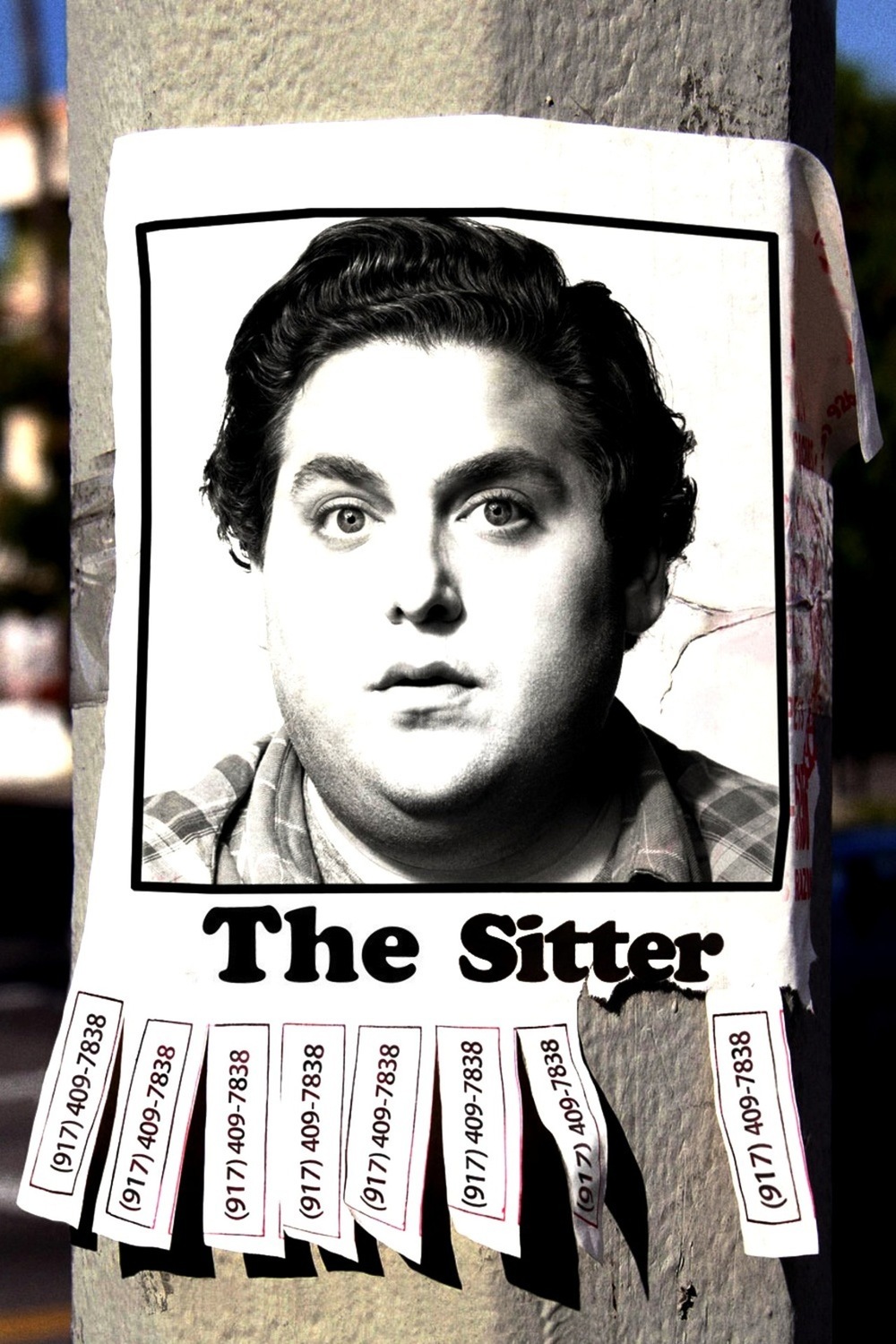 The Sitter | Fandíme filmu