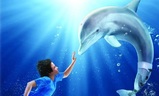 Můj přítel delfín | Fandíme filmu